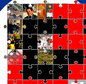 the puzzle motif explored a little
