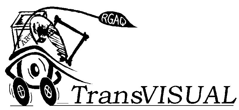 transVISUAL logo long with writing
