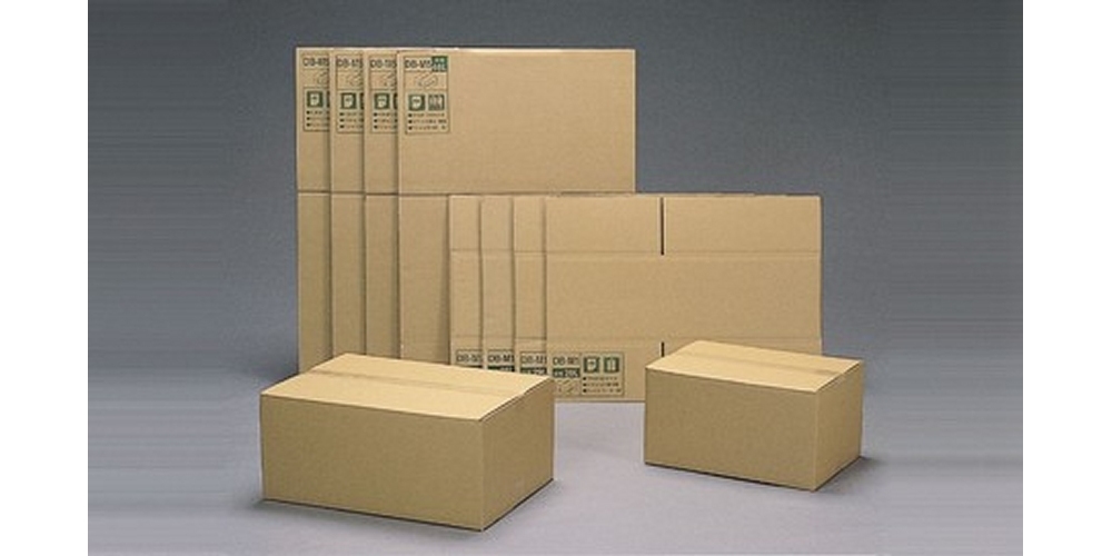 Standard Carton