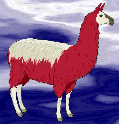 llamas with afros