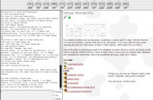 A Virtual World HQ